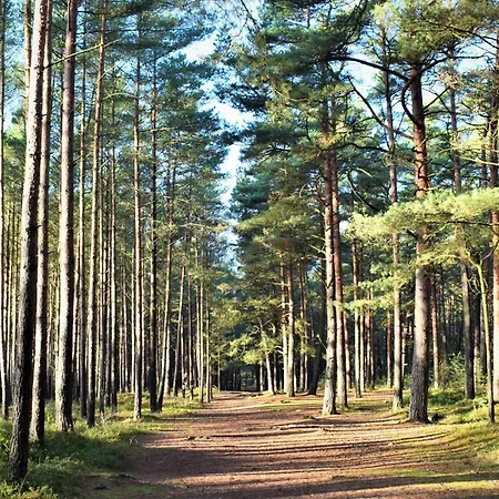 Amazing In With Wifi