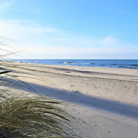 Amazing In With Wifi *