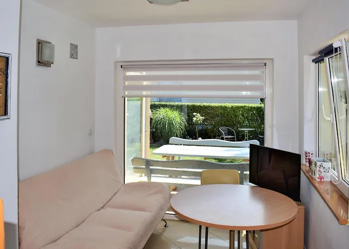 Amazing In With Wifi *