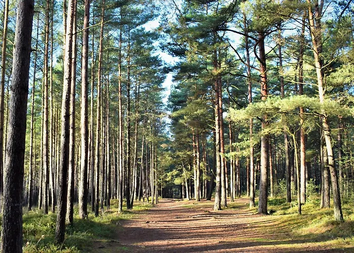 Amazing In With Wifi