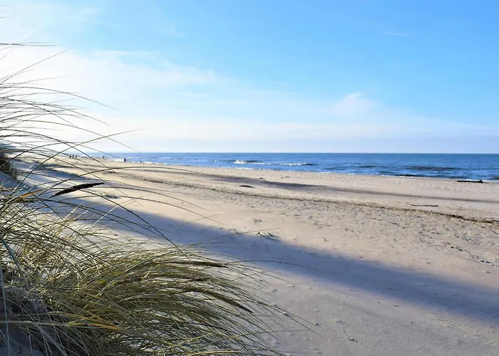 Amazing In With Wifi *